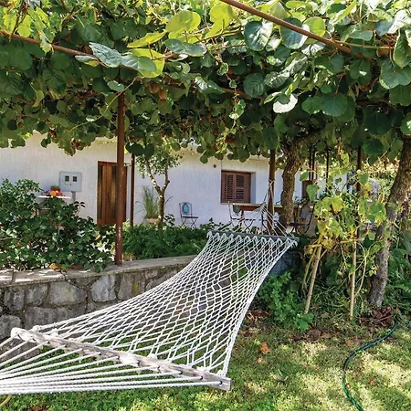 Beautiful In With Wifi