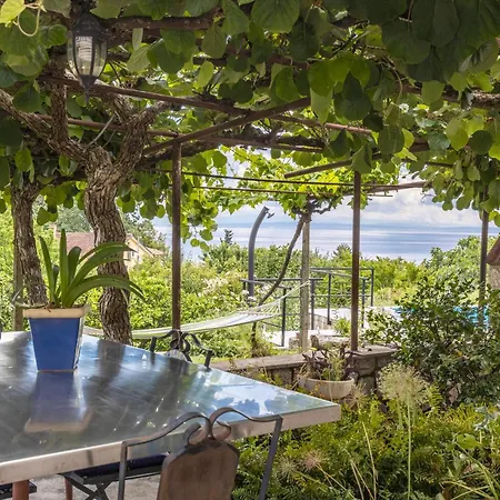 Beautiful In With Wifi شقة *